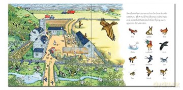 In the Country: Word Book - Benedict Blathwayt [KSIĄŻKA]