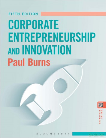 Corporate Entrepreneurship and Innovation - Paul Burns [KSIĄŻKA]