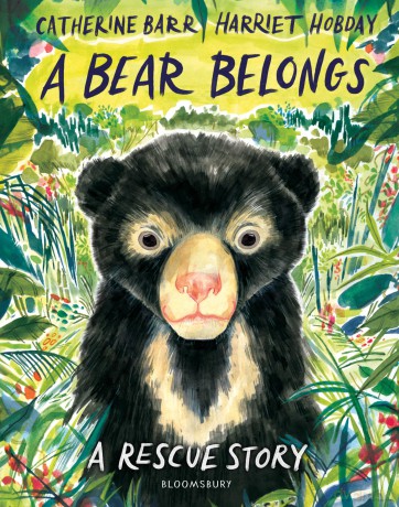 A Bear Belongs: A rescue story - Catherine Barr [KSIĄŻKA]