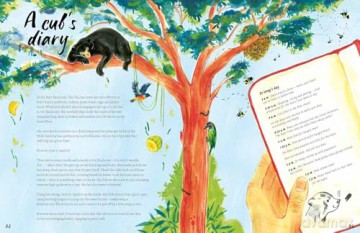 A Bear Belongs: A rescue story - Catherine Barr [KSIĄŻKA]