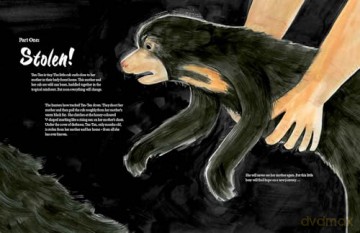 A Bear Belongs: A rescue story - Catherine Barr [KSIĄŻKA]