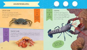 RSPB Nature Spotter: Wildlife: A children's sticker guidebook to over 60 birds, bugs, mammals and more - Catherine Brereton [KSIĄŻKA]