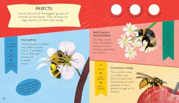 RSPB Nature Spotter: Wildlife: A children's sticker guidebook to over 60 birds, bugs, mammals and more - Catherine Brereton [KSIĄŻKA]