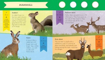RSPB Nature Spotter: Wildlife: A children's sticker guidebook to over 60 birds, bugs, mammals and more - Catherine Brereton [KSIĄŻKA]