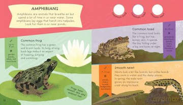 RSPB Nature Spotter: Wildlife: A children's sticker guidebook to over 60 birds, bugs, mammals and more - Catherine Brereton [KSIĄŻKA]