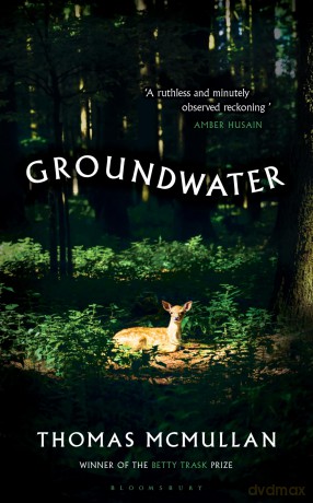 Groundwater: 'Complex, chilling, masterful' Financial Times - Thomas McMullan [KSIĄŻKA]