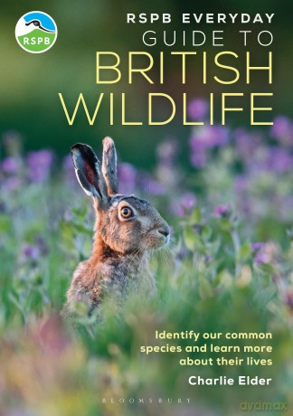 The RSPB Everyday Guide to British Wildlife: Identify our common species and learn more about their lives - Charlie Elder [KSIĄŻKA]