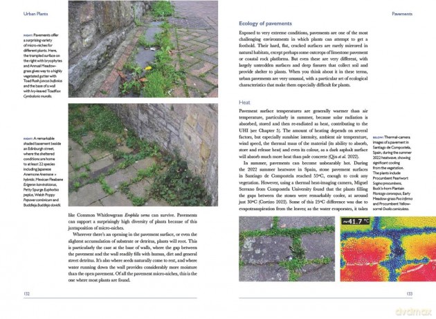 Urban Plants (British Wildlife Collection) - Trevor Dines [KSIĄŻKA]
