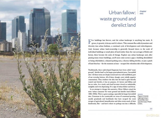Urban Plants (British Wildlife Collection) - Trevor Dines [KSIĄŻKA]