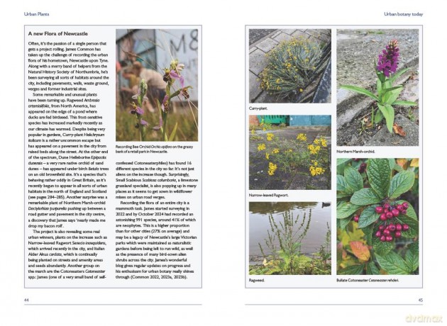 Urban Plants (British Wildlife Collection) - Trevor Dines [KSIĄŻKA]
