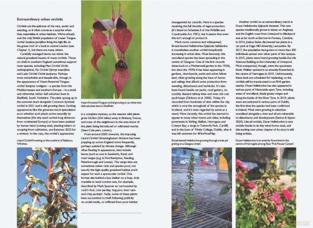 Urban Plants (British Wildlife Collection) - Trevor Dines [KSIĄŻKA]
