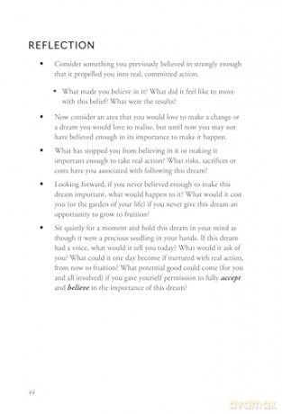 Seed of Dreams: A Practical Guide to Growing Bold Visions in the Garden of Your Life - Chip Richards [KSIĄŻKA]