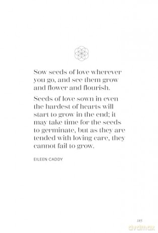 Seed of Dreams: A Practical Guide to Growing Bold Visions in the Garden of Your Life - Chip Richards [KSIĄŻKA]