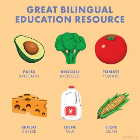 My Big Bilingual Book of First Words: 100+ English-Spanish Words for Animals, Foods, Vehicles, Planets, and More!: 3 (Si Sabo Kids) - Mike Alfaro [KSIĄŻKA]