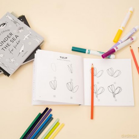 So Many Things: A Box Set of 5 How-to-Draw Books for Kids (Stocking Stuffers) - Alli Koch [KSIĄŻKA]
