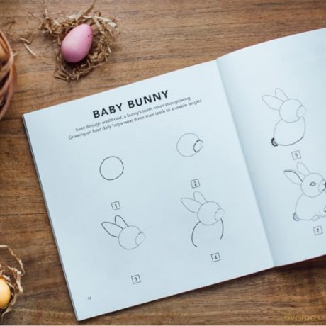 Spring Things: How to Draw Books for Kids with Easter Eggs, Bunnies, Flowers, and More (How to Draw for Kids Series) - Alli Koch [KSIĄŻKA]