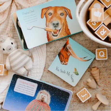 You Stole My Name Board Book Box Set: The Curious Case of Animals with Shared Names (Picture Book Box Set) (You Stole My Name Series) - Dennis Mcgregor [KSIĄŻKA]