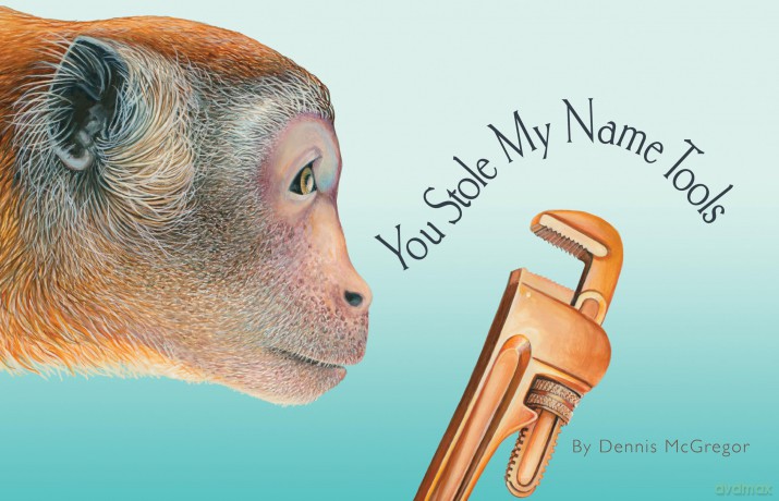 You Stole My Name Tools: The Curious Case of Animals and Tools with Shared Names (Picture Book) (You Stole My Name Series) - Dennis Mcgregor [KSIĄŻKA]