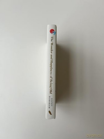 The Wonder and Happiness of Being Old - Sophy Burnham [KSIĄŻKA]