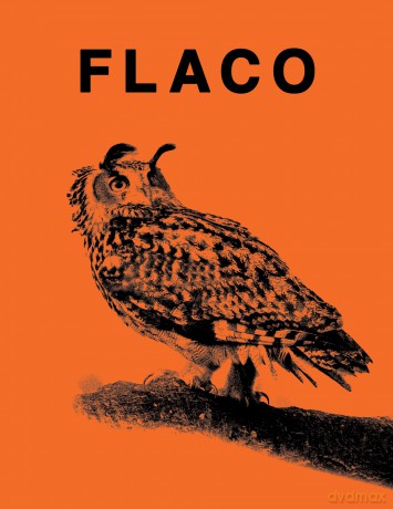 FLACO: The Owl Who Escaped Captivity and Won the Hearts of the World - Jonathan Hollingsworth [KSIĄŻKA]