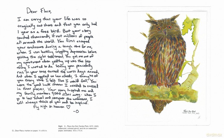 FLACO: The Owl Who Escaped Captivity and Won the Hearts of the World - Jonathan Hollingsworth [KSIĄŻKA]