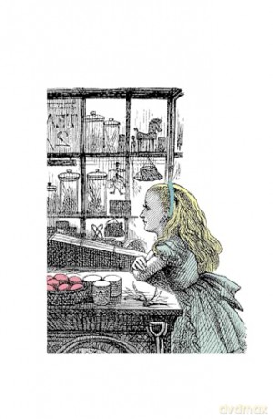 Alice's Oxford: People and Places that Inspired Wonderland - Peter Hunt [KSIĄŻKA]