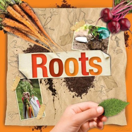Roots (Plant Parts) - Steffi Cavell-Clarke [KSIĄŻKA]