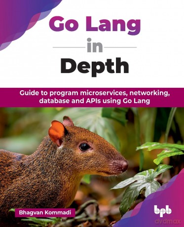 Go Lang in Depth: Guide to program microservices, networking, database and APIs using Go Lang (English Edition) - Bhagvan Kommadi [KSIĄŻKA]