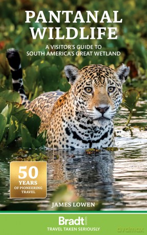 Bradt Pantanal Wildlife (Travel Guide): A Visitor's Guide to South America's Great Wetland - James Lowen [KSIĄŻKA]
