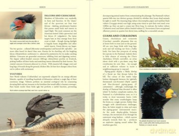 Bradt Pantanal Wildlife (Travel Guide): A Visitor's Guide to South America's Great Wetland - James Lowen [KSIĄŻKA]
