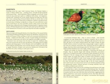 Bradt Pantanal Wildlife (Travel Guide): A Visitor's Guide to South America's Great Wetland - James Lowen [KSIĄŻKA]