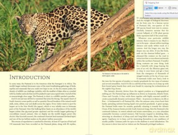 Bradt Pantanal Wildlife (Travel Guide): A Visitor's Guide to South America's Great Wetland - James Lowen [KSIĄŻKA]