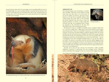 Bradt Pantanal Wildlife (Travel Guide): A Visitor's Guide to South America's Great Wetland - James Lowen [KSIĄŻKA]