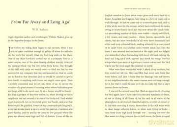 Bradt South America: An Anthology of Travel Writing - Celia Dillow [KSIĄŻKA]
