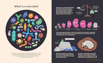 Me, Microbes and I: Meet the viruses, bacteria and other weeny weirdies that share your world. - Philip Bunting [KSIĄŻKA]