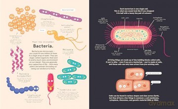 Me, Microbes and I: Meet the viruses, bacteria and other weeny weirdies that share your world. - Philip Bunting [KSIĄŻKA]