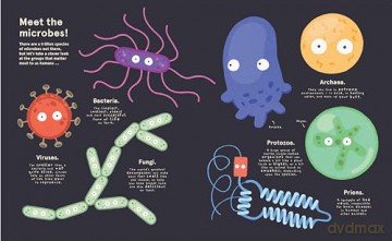 Me, Microbes and I: Meet the viruses, bacteria and other weeny weirdies that share your world. - Philip Bunting [KSIĄŻKA]