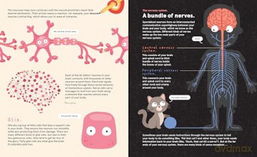 Your Brilliant Brain: A playful poke around the most marvellous, mysterious thing in the known universe: your beautiful brain - Philip Bunting [KSIĄŻKA]