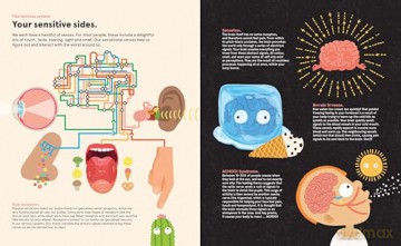 Your Brilliant Brain: A playful poke around the most marvellous, mysterious thing in the known universe: your beautiful brain - Philip Bunting [KSIĄŻKA]