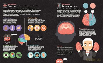 Your Brilliant Brain: A playful poke around the most marvellous, mysterious thing in the known universe: your beautiful brain - Philip Bunting [KSIĄŻKA]