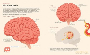 Your Brilliant Brain: A playful poke around the most marvellous, mysterious thing in the known universe: your beautiful brain - Philip Bunting [KSIĄŻKA]