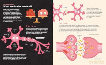 Your Brilliant Brain: A playful poke around the most marvellous, mysterious thing in the known universe: your beautiful brain - Philip Bunting [KSIĄŻKA]