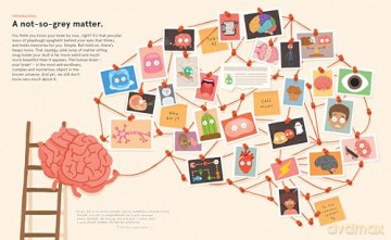 Your Brilliant Brain: A playful poke around the most marvellous, mysterious thing in the known universe: your beautiful brain - Philip Bunting [KSIĄŻKA]