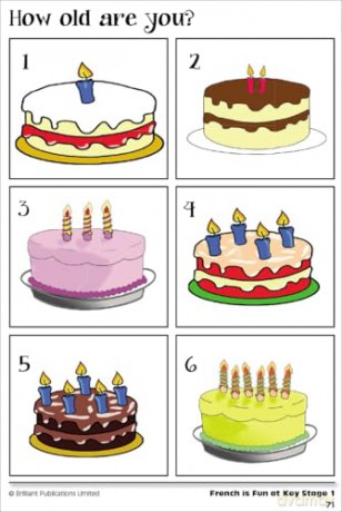 French is Fun at Key Stage 1: Activities, Games and Resources to Make Learning Fun - Florentina Popescu [KSIĄŻKA]