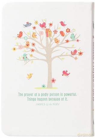 2-Minute Prayers for Girls: Pocketbooks by Broadstreet [KSIĄŻKA]