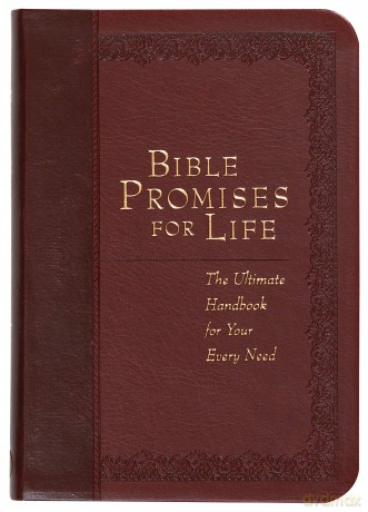 All God's Promises: The Ultimate Handbook for Every Need (Promises for Life) - Bouma [KSIĄŻKA]