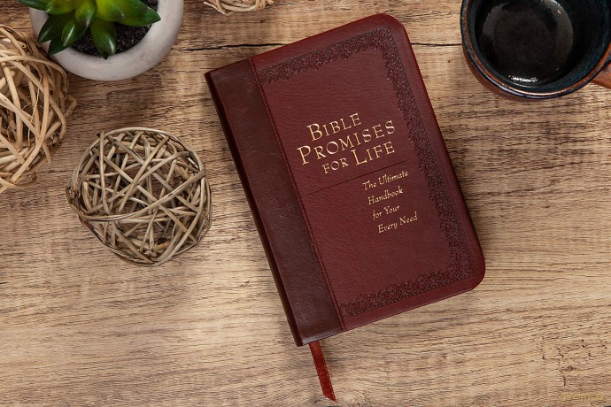 All God's Promises: The Ultimate Handbook for Every Need (Promises for Life) - Bouma [KSIĄŻKA]