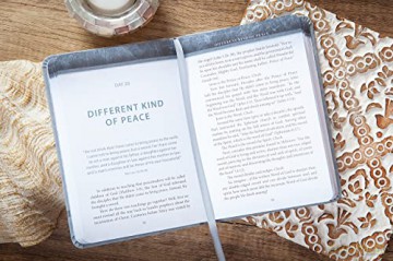 The Chosen Book Three: 40 Days with Jesus (Chosen, 3) - Amanda Jenkins [KSIĄŻKA]