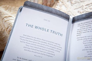 The Chosen Book Three: 40 Days with Jesus (Chosen, 3) - Amanda Jenkins [KSIĄŻKA]