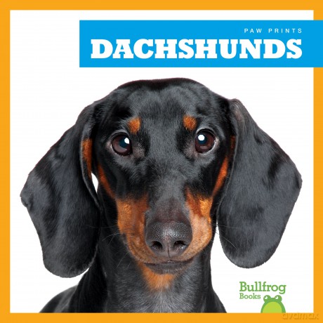 Dachshunds (Paw Prints) - Kaitlyn Duling [KSIĄŻKA]